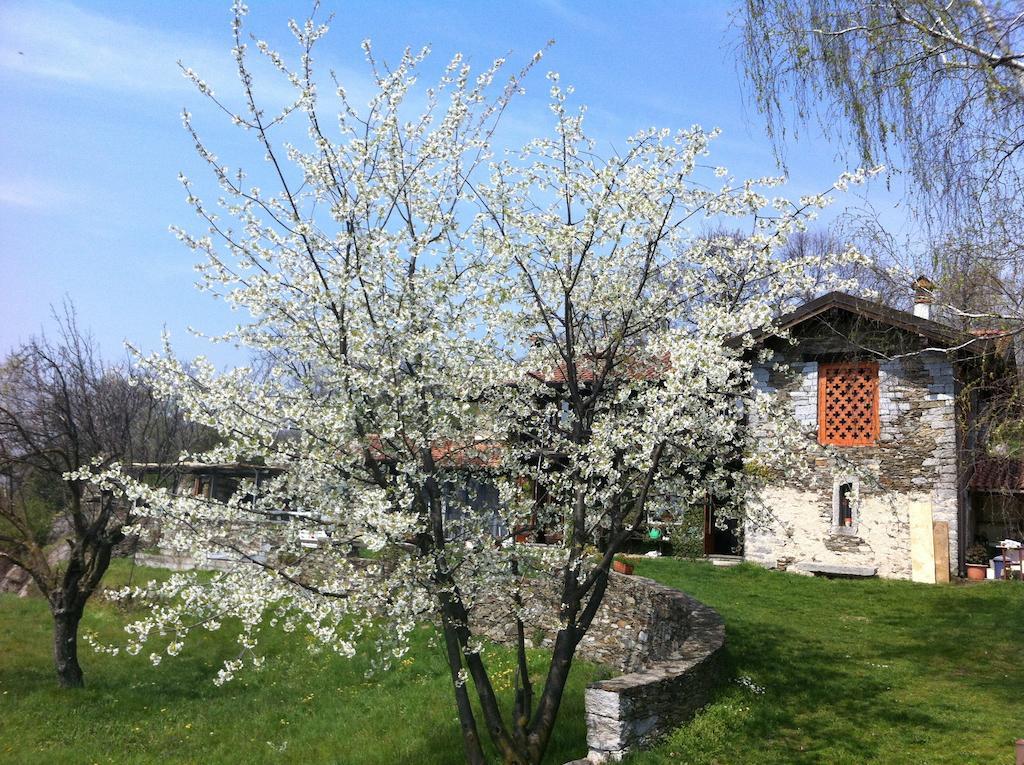 Il Ciliegio Selvatico Apartman Verbania Kültér fotó