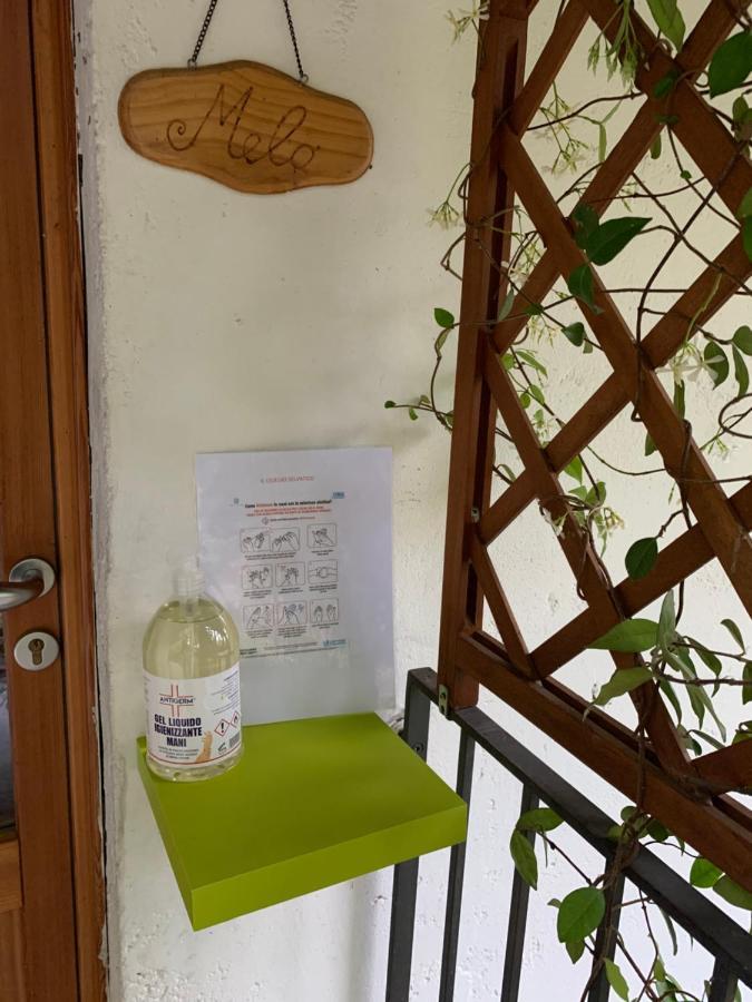 Il Ciliegio Selvatico Apartman Verbania Kültér fotó